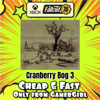 5,000 Cranberry Bog #3 CB3 Treasure Maps
