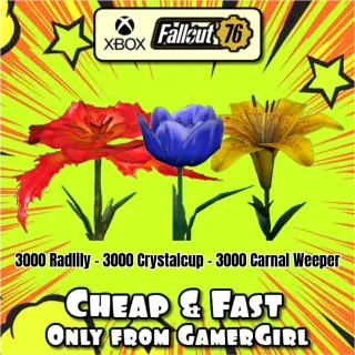 Flower Bundle 15,000 Big Bloom Flowers