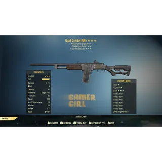 NW Invalid Legacy Combat Rifle Quad / Rapid / Swift XBOX - GOD ROLL!