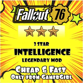 SET OF 5 INTELLIGENCE 3 STAR LEGENDARY MOD PC