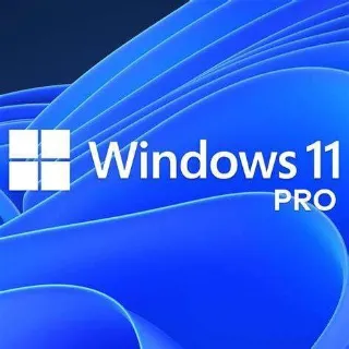 Windows 11 Pro