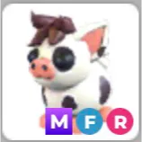 MFR Mini Pig