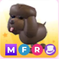 MFR Irish Water Spaniel