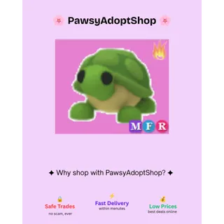 MFR Turtle