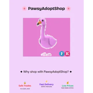FR Flamingo