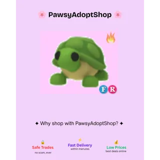 ADOPT Me FR Turtle