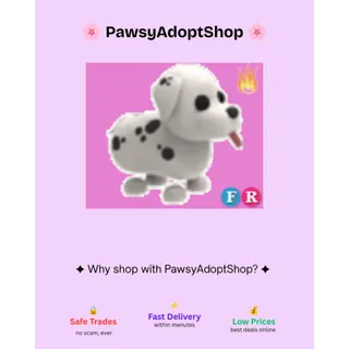 FR Dalmatian