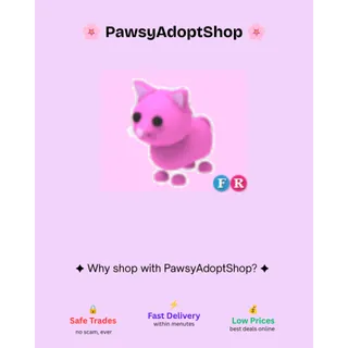 FR Pink Cat