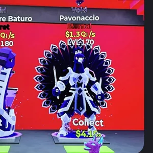 pavonaccio