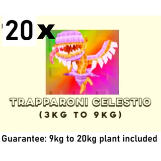 20X TRAPPARONI CELESTIO | LIMITED PLANT- 3KG TO 20KG (PLANTS VS BRAINROTS)