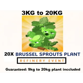 20X BRUSSEL SPROUTS | REFINERY EVENT- 3KG TO 20KG (PLANTS VS BRAINROTS)