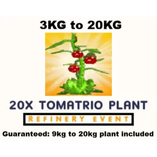 20X TOMATRIO | REFINERY EVENT- 3KG TO 20KG (PLANTS VS BRAINROTS)