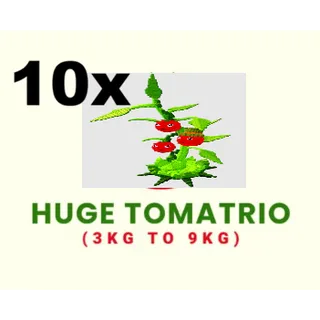 10X TOMATRIO- 3KG TO 9KG (PLANT VS BRAINROT)