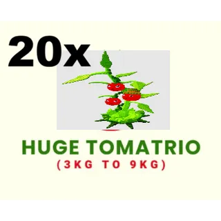 10X TOMATRIO- 3KG TO 9KG (PLANT VS BRAINROT)