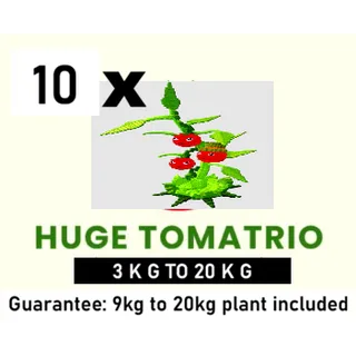10X TOMATRIO- 3KG TO 20KG (PLANTS VS BRAINROTS)