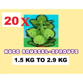 20X BRUSSEL SPROUTS- 1.5KG TO 2.9KG (PLANTS VS BRAINROTS)
