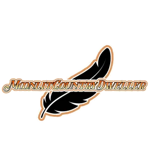 Disabled cartoon artist