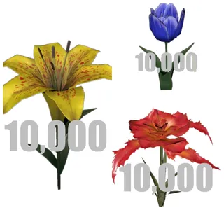 10K Radlily Crystalcup Carnal Weeper Flowers