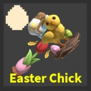 ⁴ HAMMERS ONLY‼️