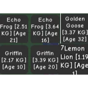 2X Echo Frog Golden Goose Lemon Leon