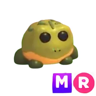Bullfrog MR