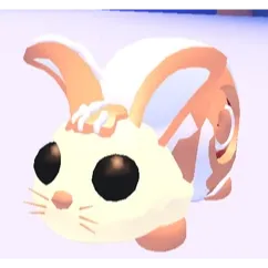 Bunny Swirl FR