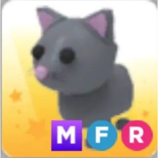 Cat MFR