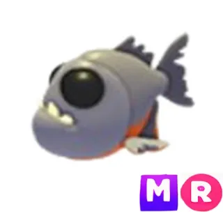 Piranha MR