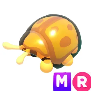 Golden Tortoise Beetle MR
