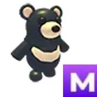 Black Moon Bear M