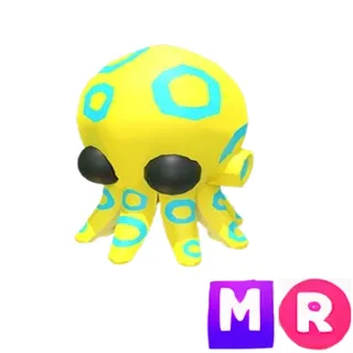 Blue Ringed Octopus MR