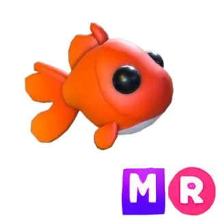 Goldfish MR