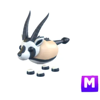 Oryx M