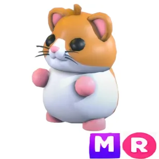 Hamster MR