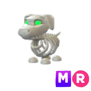 Halloween White Skeleton Dog MR