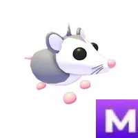 Possum M