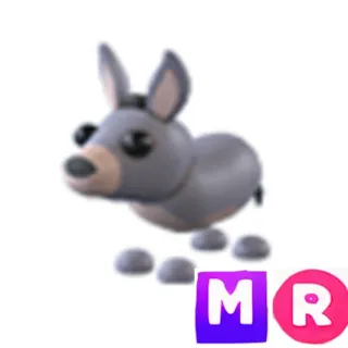 Donkey MR