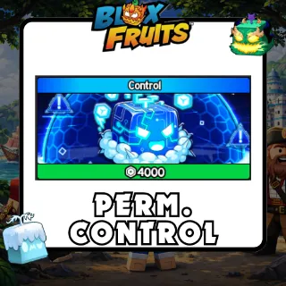 Blox Fruits - Permanent Control