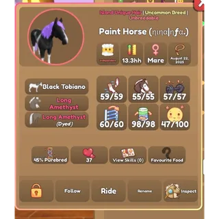 Wild horse islands iuh paint horse 