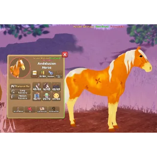 Wild horse island horse