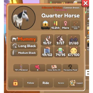 Horse bundle 