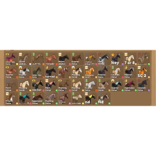 Wild horse islands price negotiated 