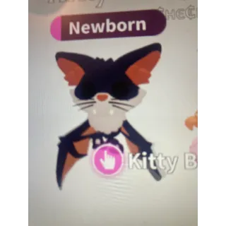 Adopt me kitty bat x2