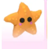 Starfish adopt me