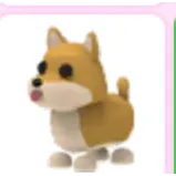 Adopt me Shiba inu