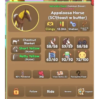 Wild horse islands two nds