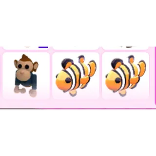 Two clown fish and monkey