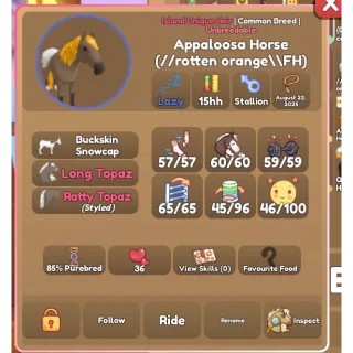Wild horse islands pet bundle