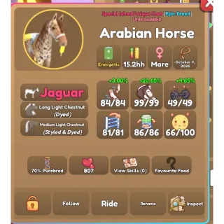 Wild horse islands iuc arabian