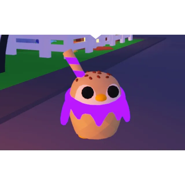 出品写真